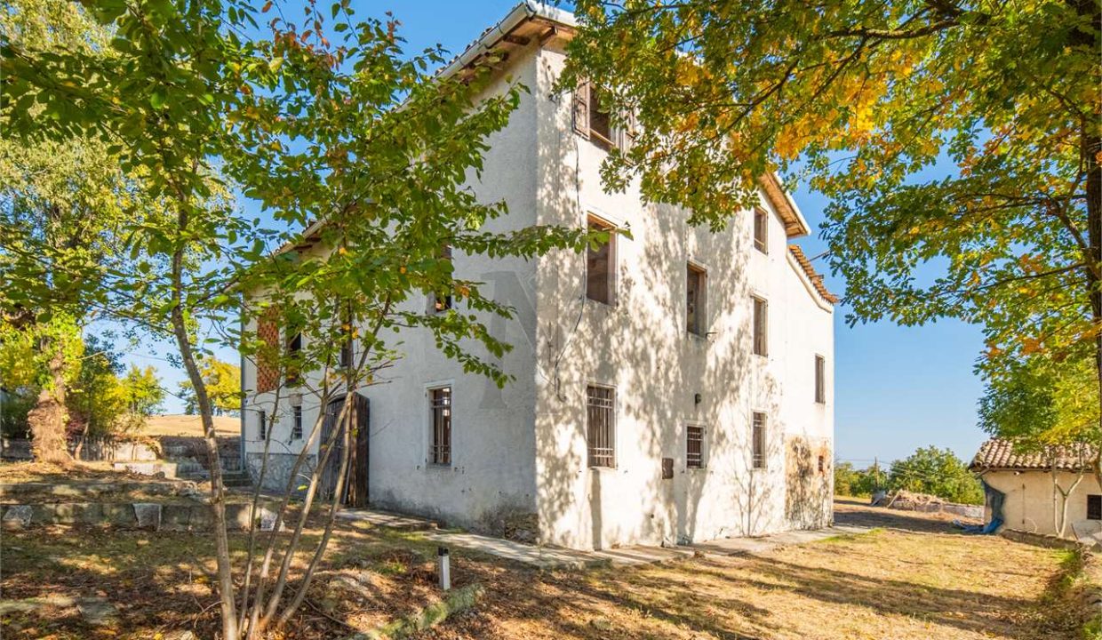 imm_45735-20251013100019-1280-