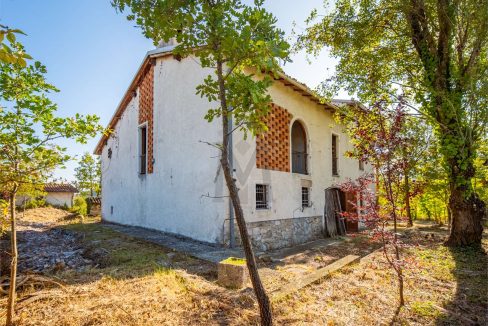 imm_45737-20251013100147-1280-