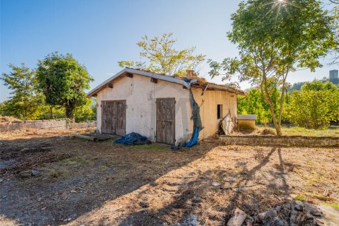 imm_45738-20251013100159-1280-