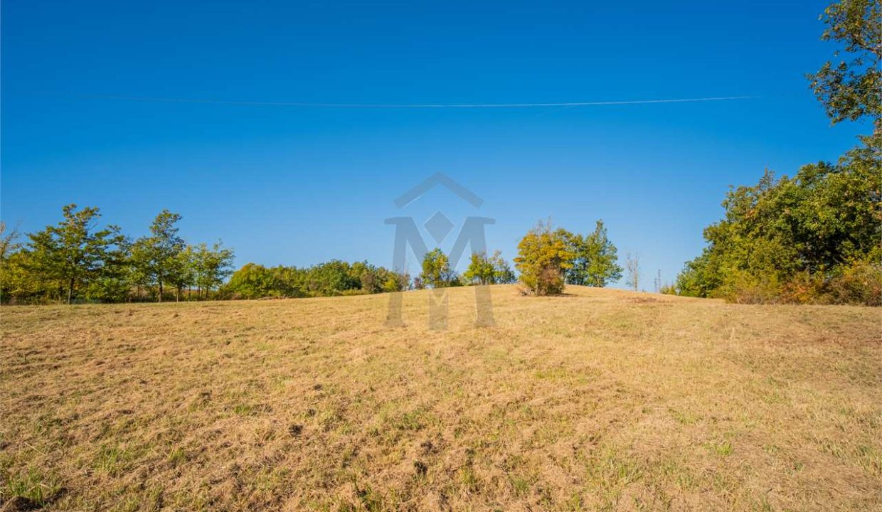 imm_45741-20251013100209-1280-