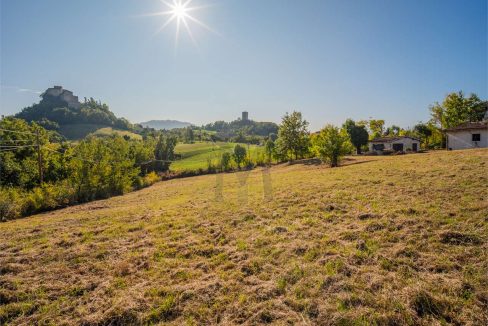 imm_45742-20251013100211-1280-