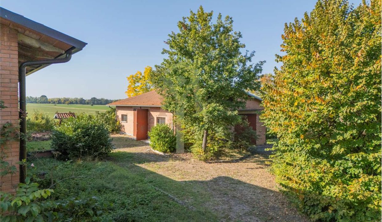 imm_45934-20251024102518-1280-