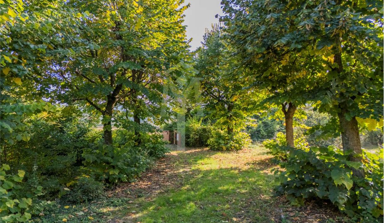 imm_45935-20251024102511-1280-