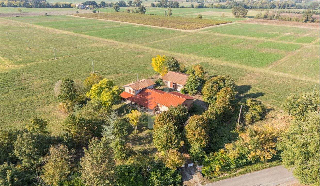 imm_45940-20251119103635-1280-