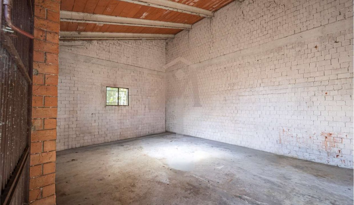 imm_45960-20251024102235-1280-