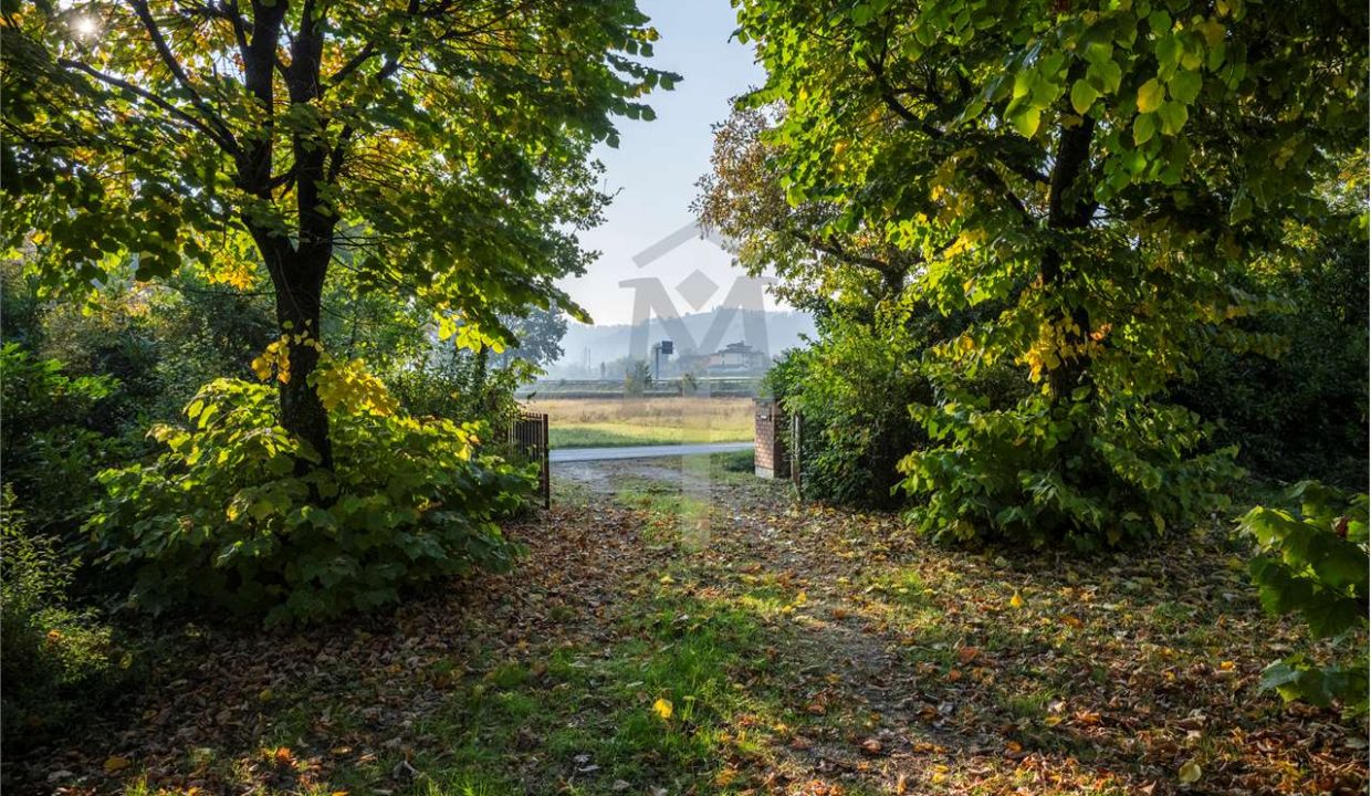 imm_45997-20251023112729-1280-