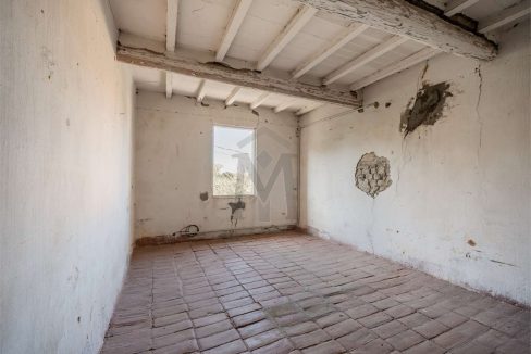 imm_46013-20251021170100-1280-