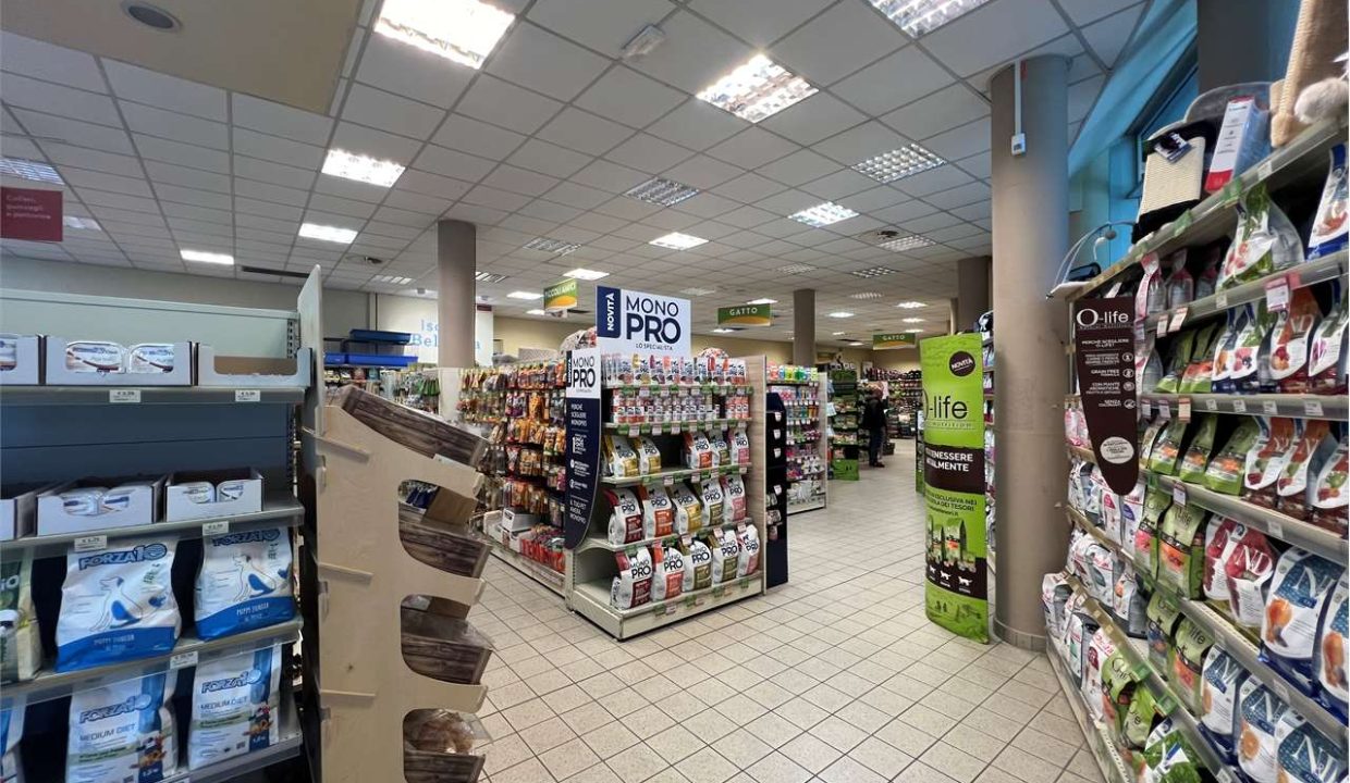 imm_46043-20251023111802-1280-