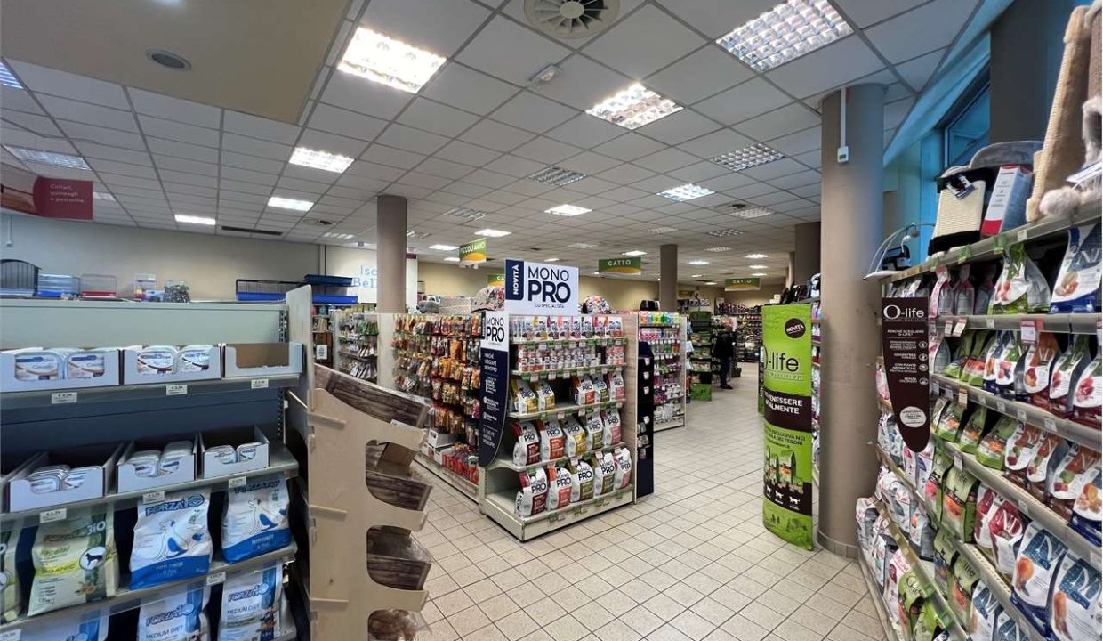 imm_46045-20251023111808-1280-