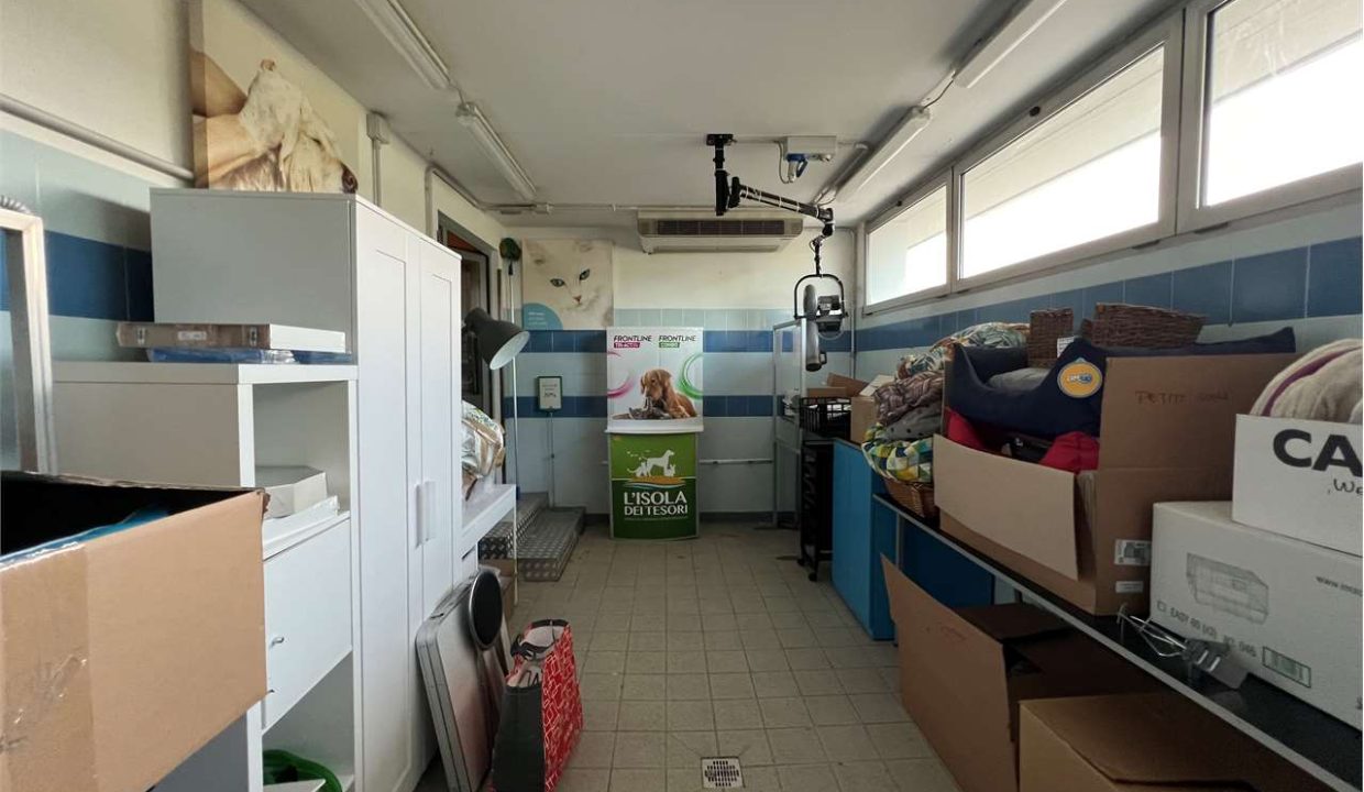 imm_46048-20251023111918-1280-