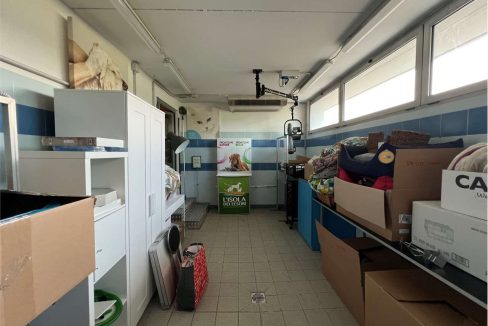 imm_46048-20251023111918-1280-