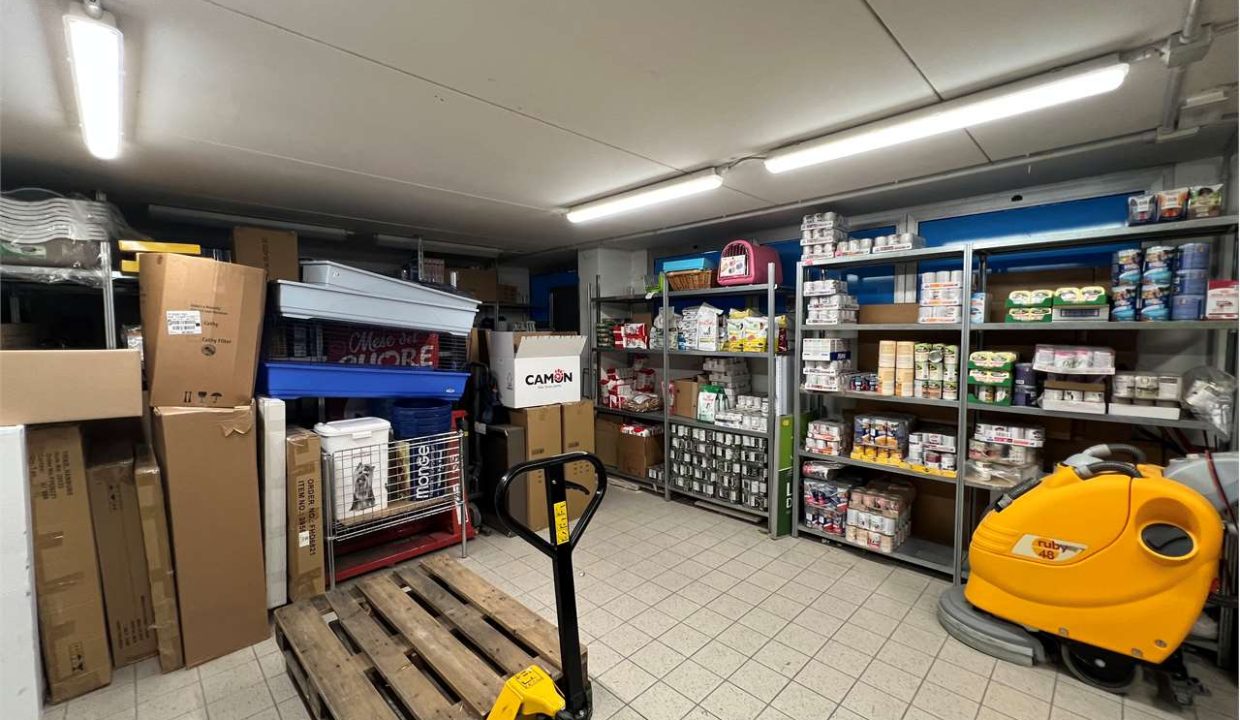 imm_46055-20251023111841-1280-