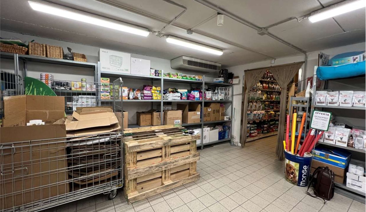 imm_46056-20251023111845-1280-