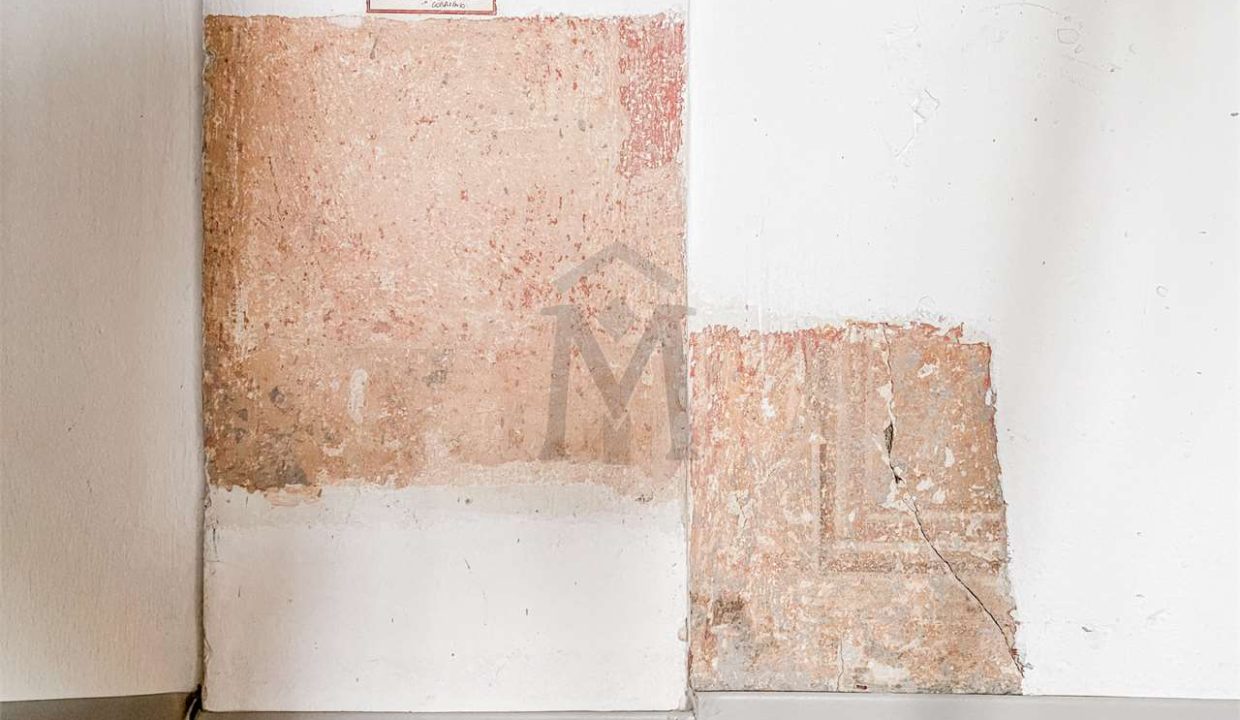 imm_46184-20251027185535-1280-