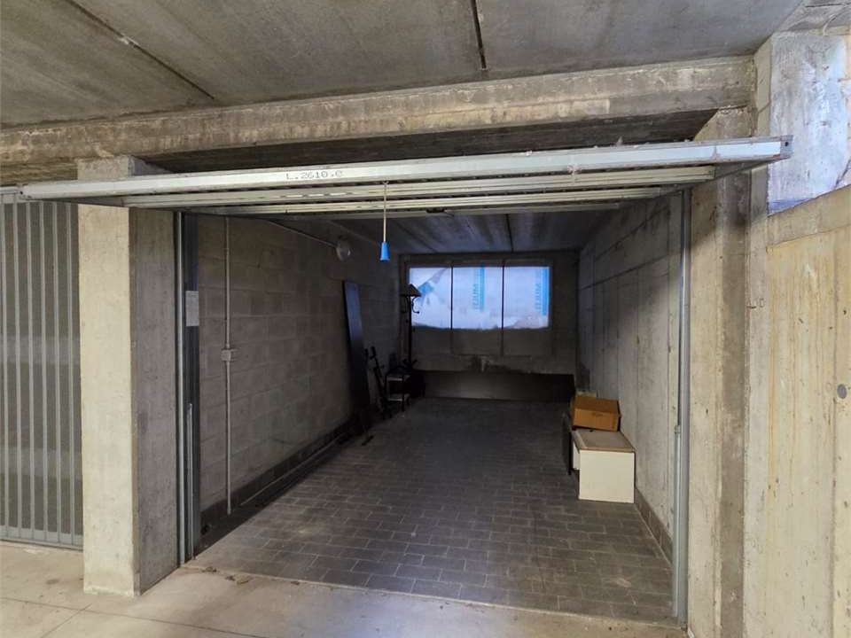 imm_46201-20251030161155-1280