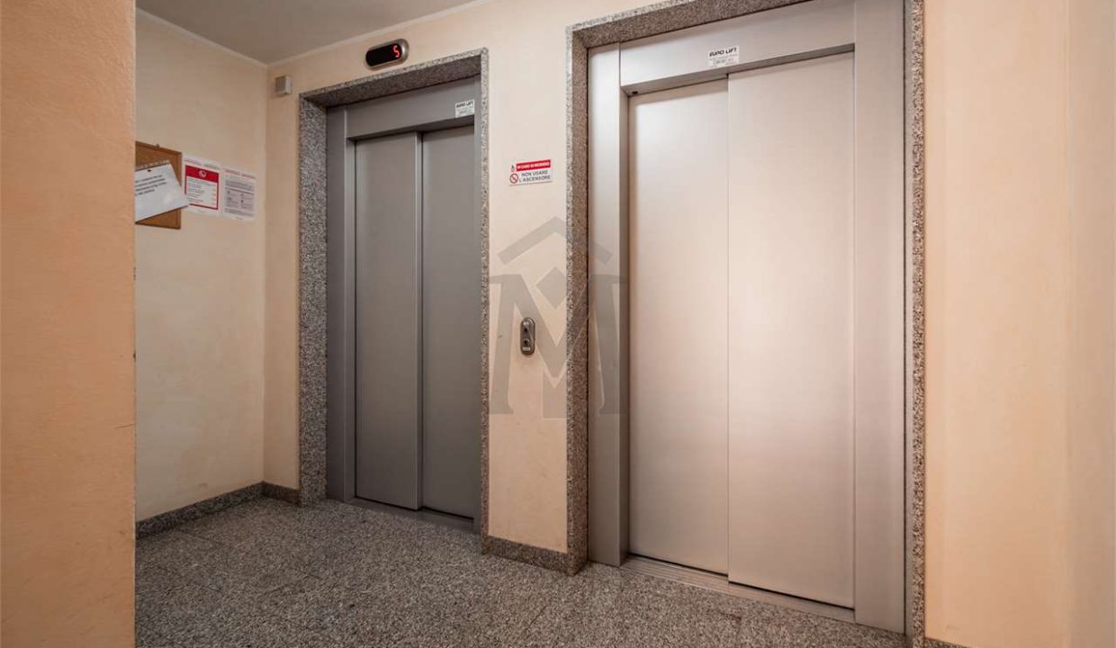 imm_46704-20251202111833-1280-