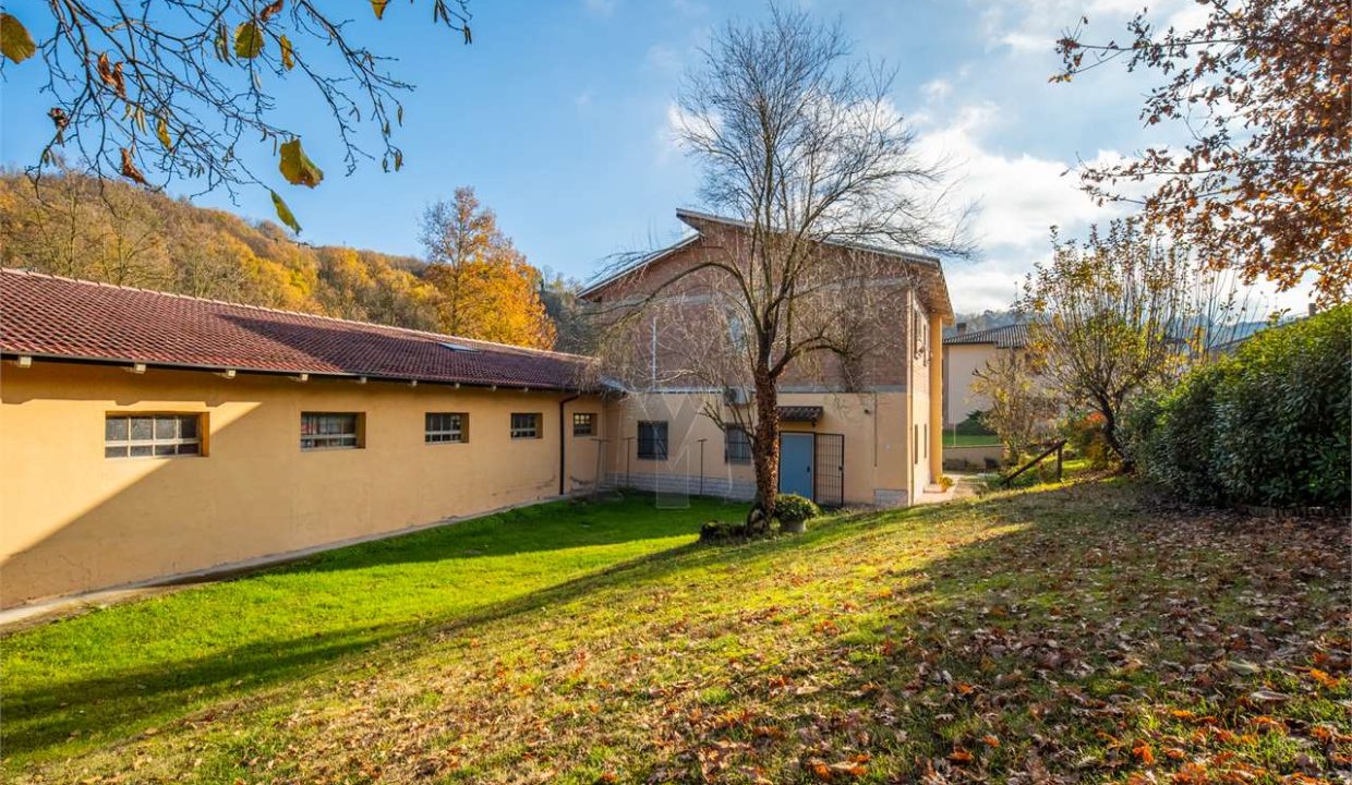 imm_46935-20251204163446-1280-