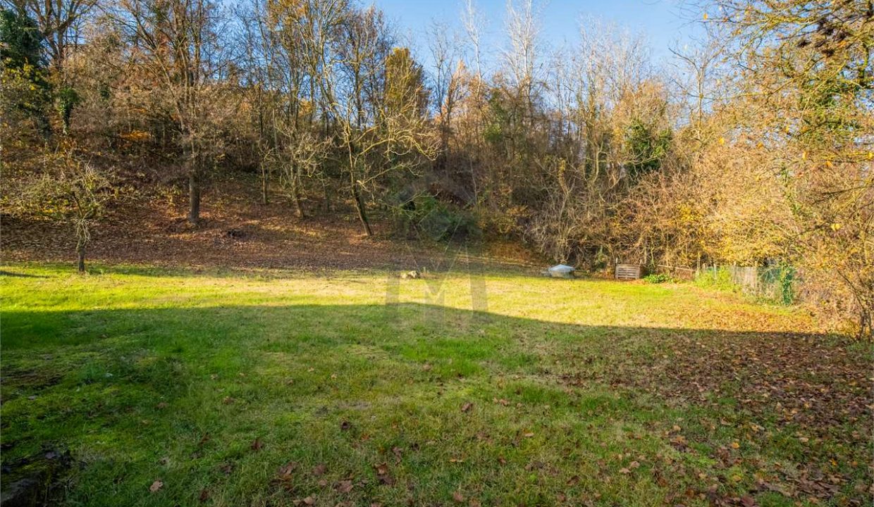 imm_46938-20251204163715-1280-