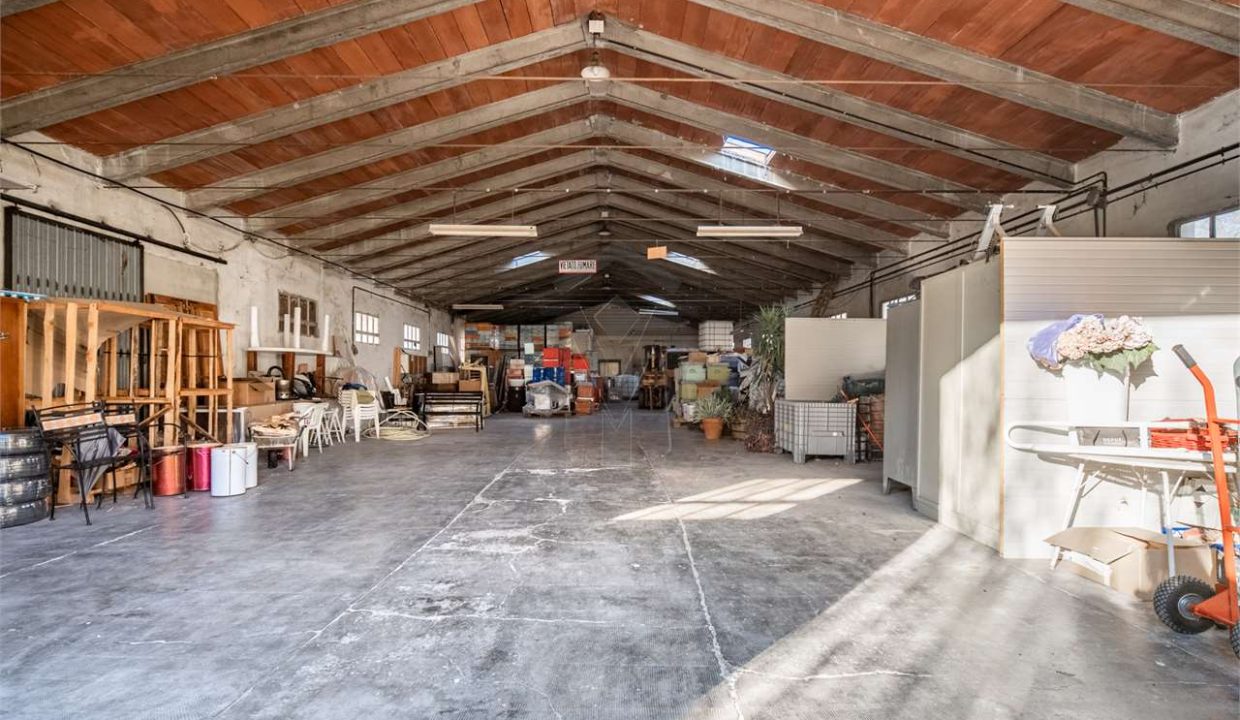 imm_47144-20251204173055-1280-