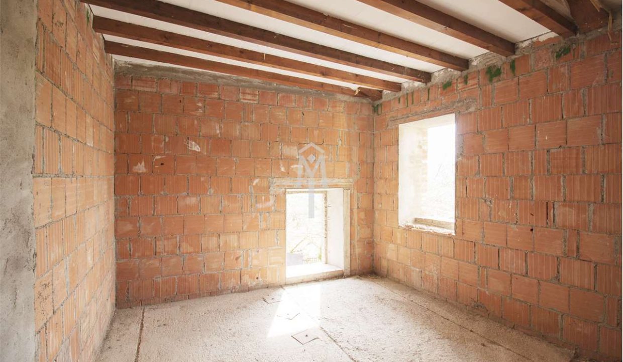 imm_28830-20230404112423-1280-