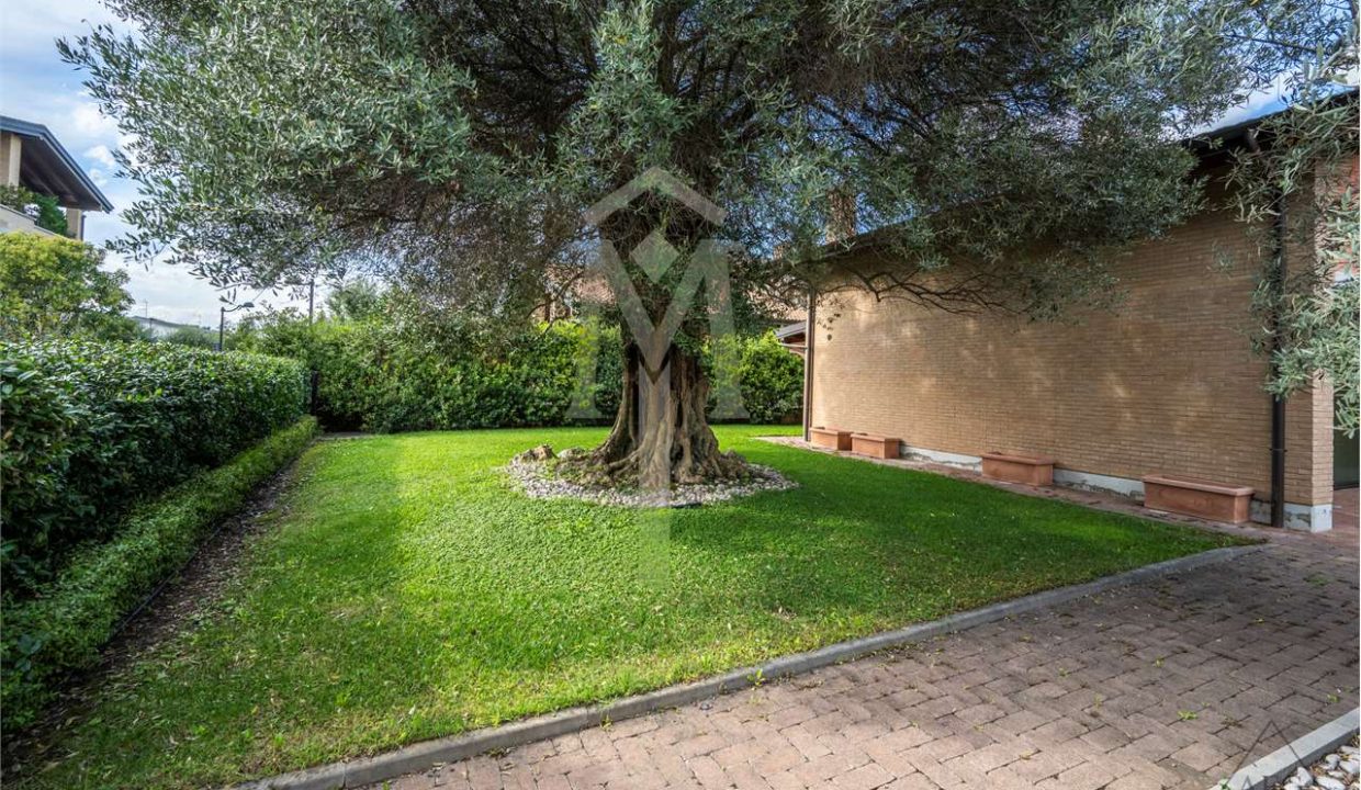 imm_37512-20240927163141-1280-