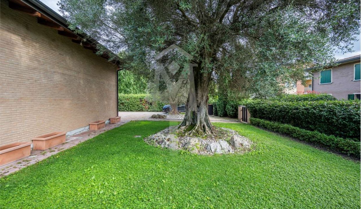 imm_37516-20240927164912-1280-