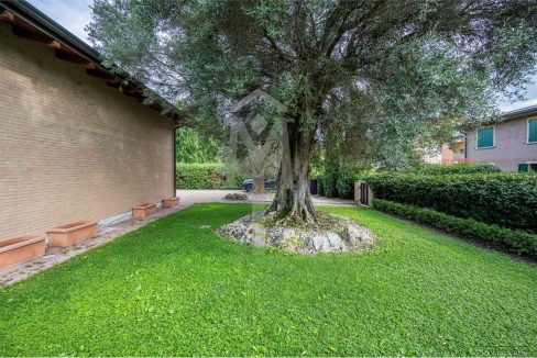 imm_37516-20240927164912-1280-