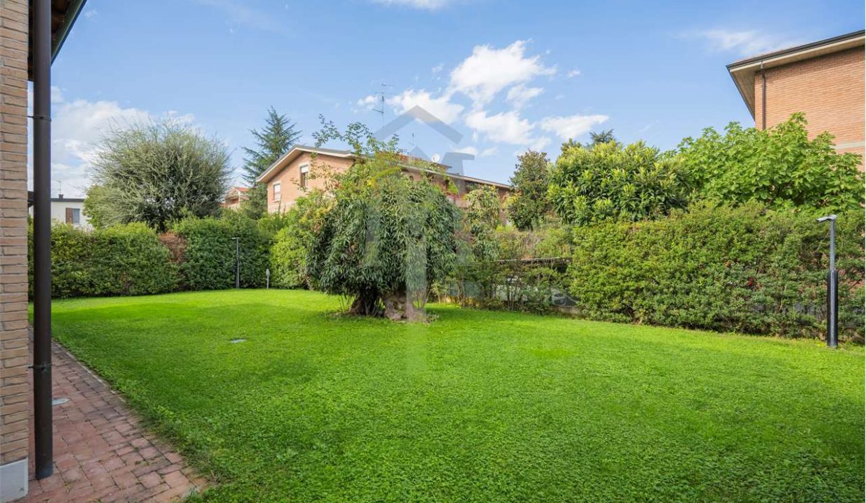 imm_37524-20240927163229-1280-