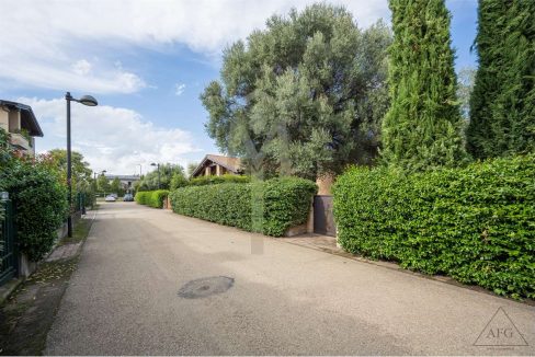 imm_37527-20240927163240-1280-