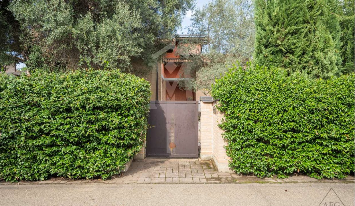 imm_37528-20240927163244-1280-