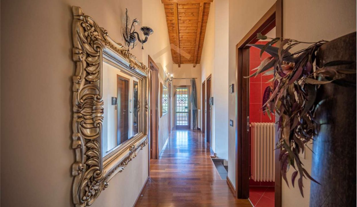 imm_37540-20251013102952-1280-