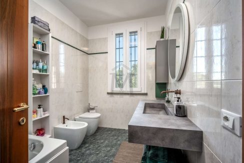 imm_38812-20241114175553-1280-