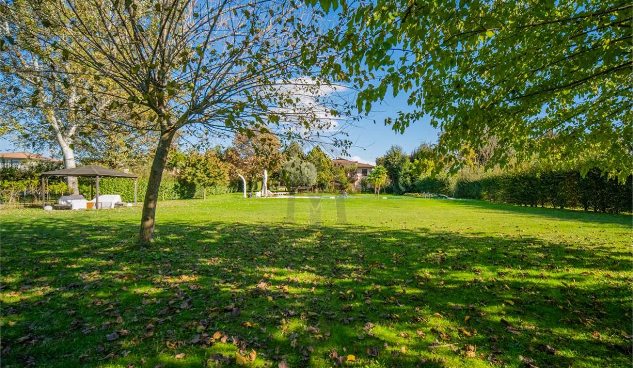 imm_38818-20241114175243-1280-