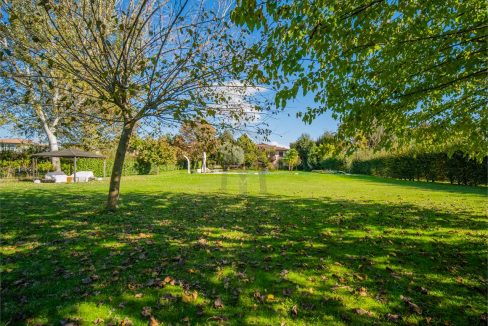 imm_38818-20241114175243-1280-