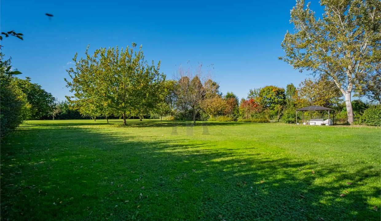 imm_38821-20241114180802-1280-