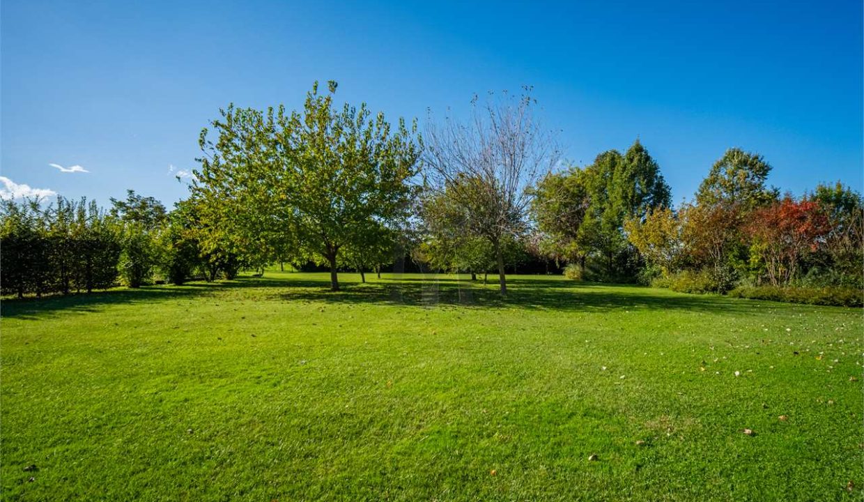 imm_38822-20241114180756-1280-