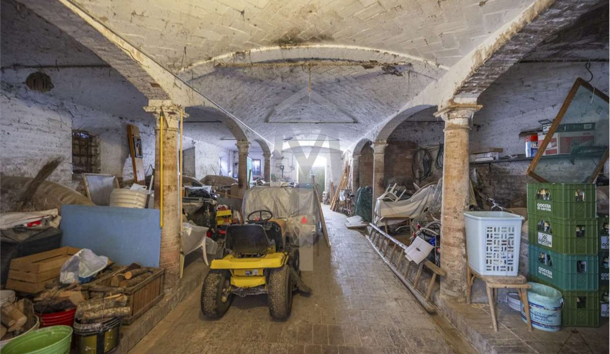 imm_39494-20250116121647-1280-