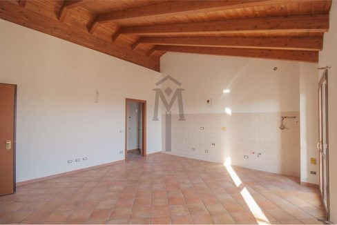 imm_39559-20250117123434-1280-