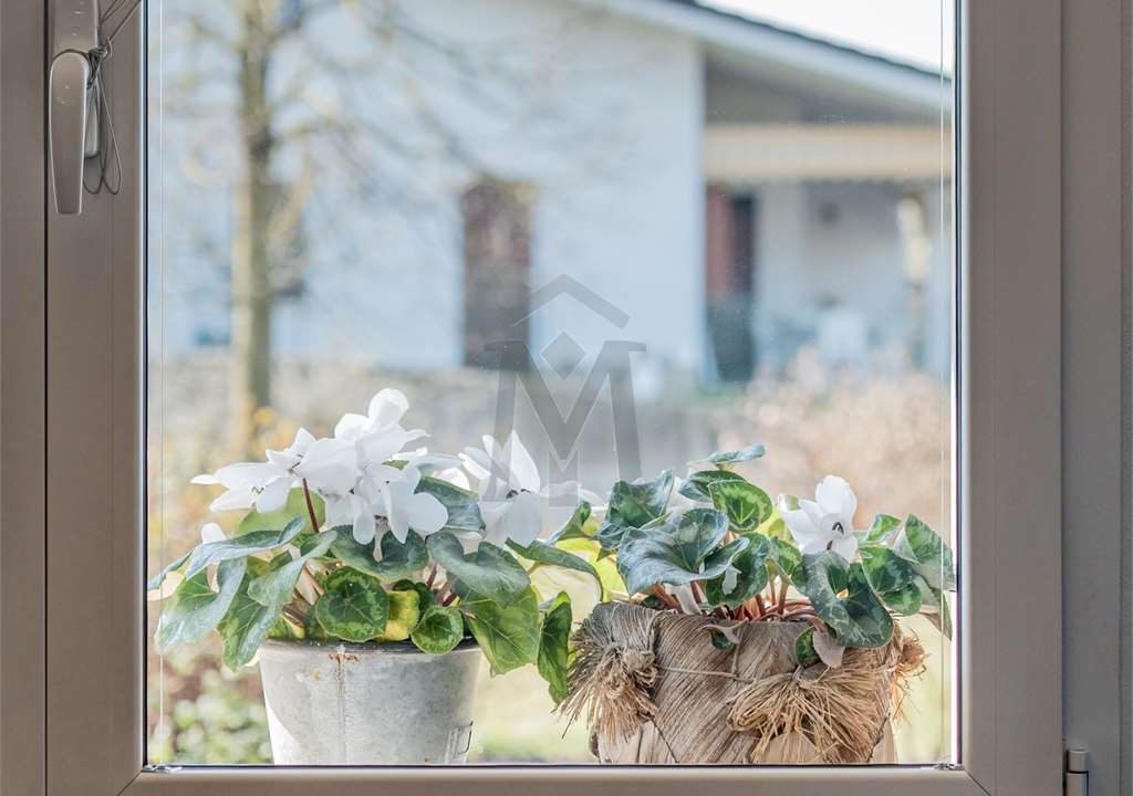 imm_40810-20250313160442-1280