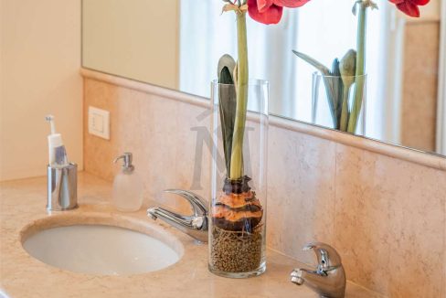 imm_40813-20250313162146-1280