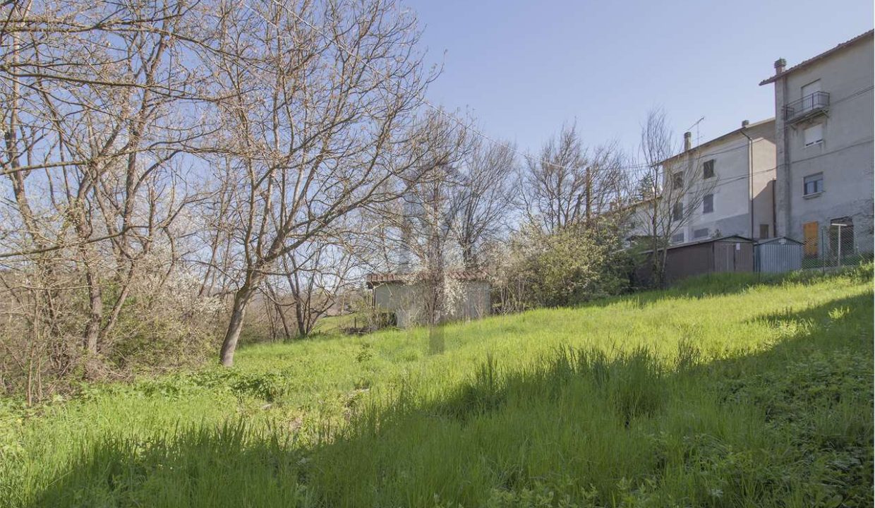 imm_41410-20251127172453-1280-