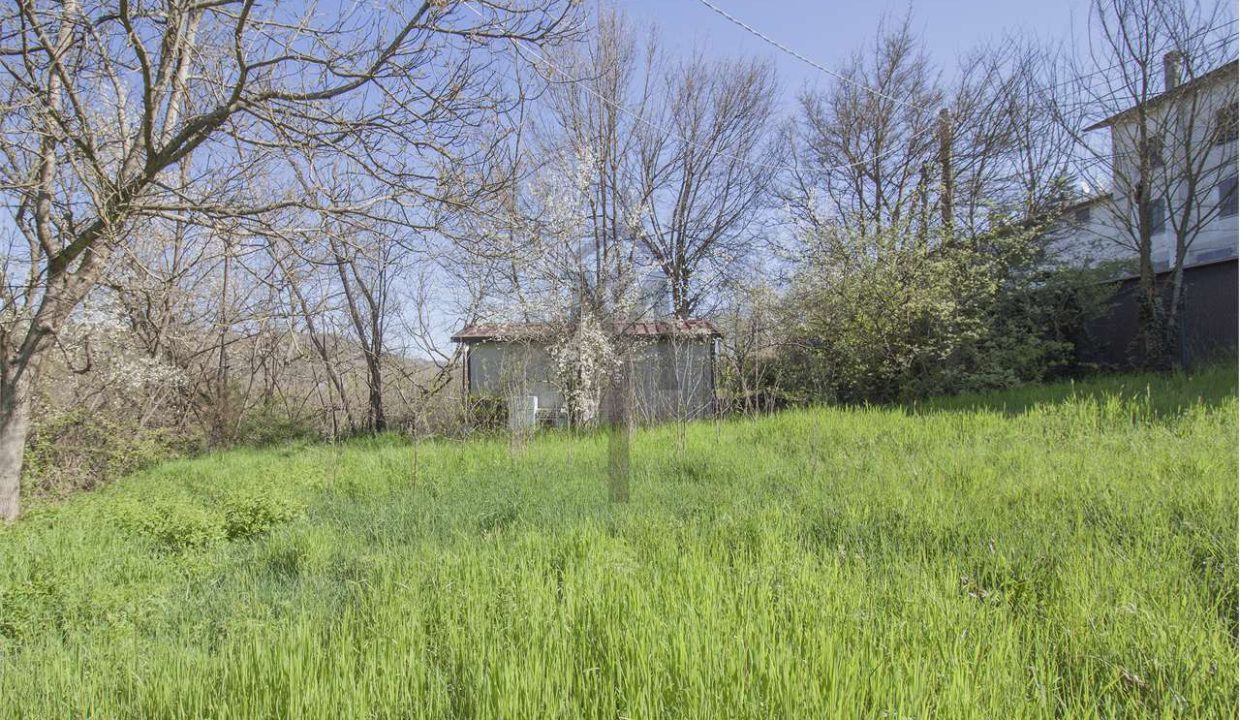 imm_41411-20251127172616-1280-