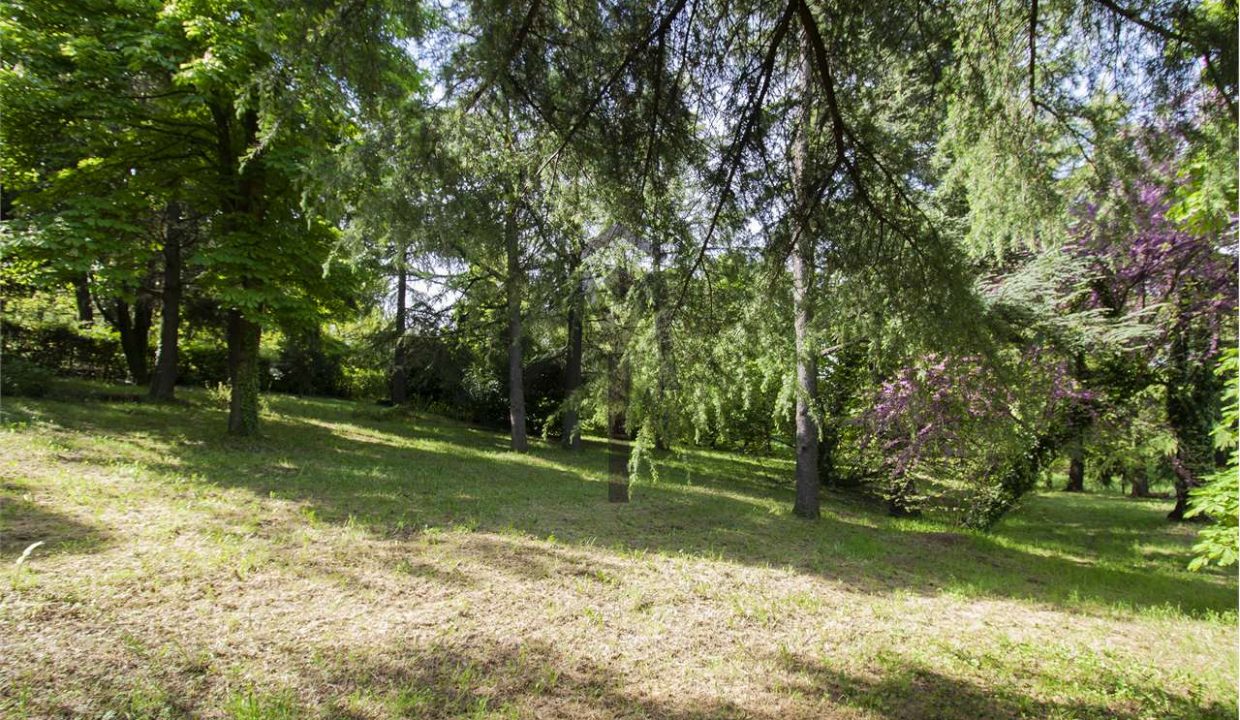 imm_41714-20250801162556-1280-