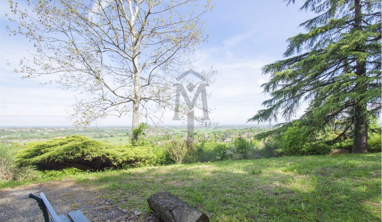 imm_41716-20250801162601-1280-