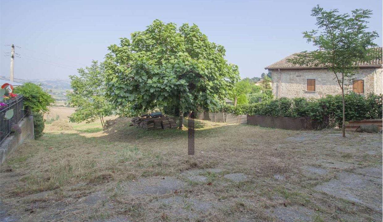 imm_43603-20250623170440-1280-