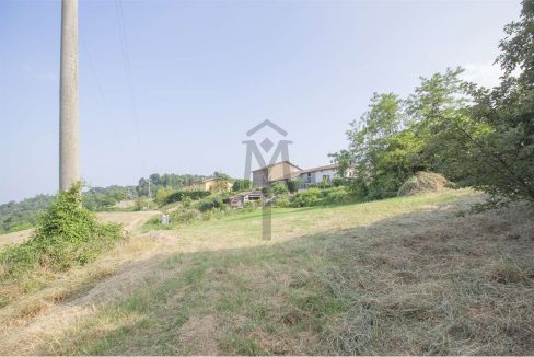 imm_43608-20250623170537-1280-