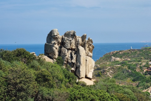 imm_43710-20250703100826-720-