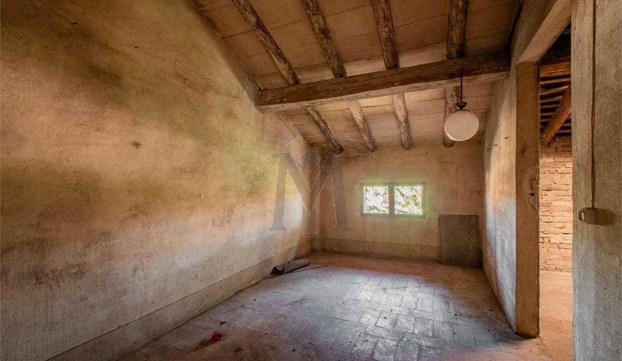 imm_43864-20250716173831-1280-