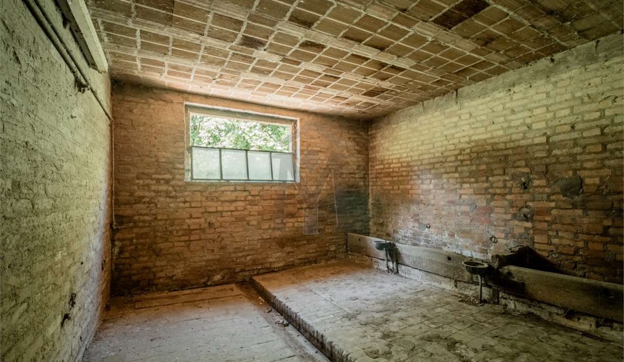 imm_43868-20250716174920-1280-