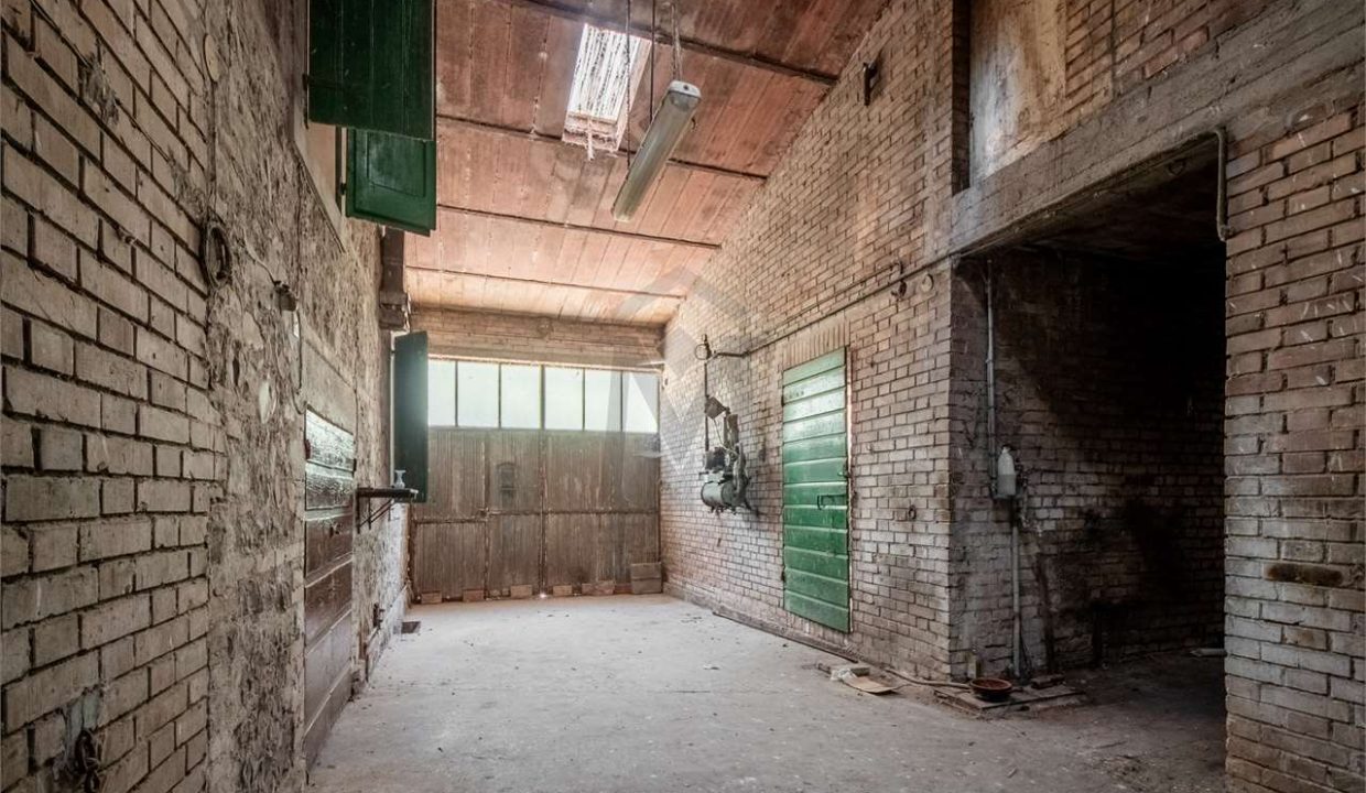 imm_43869-20250716174829-1280-